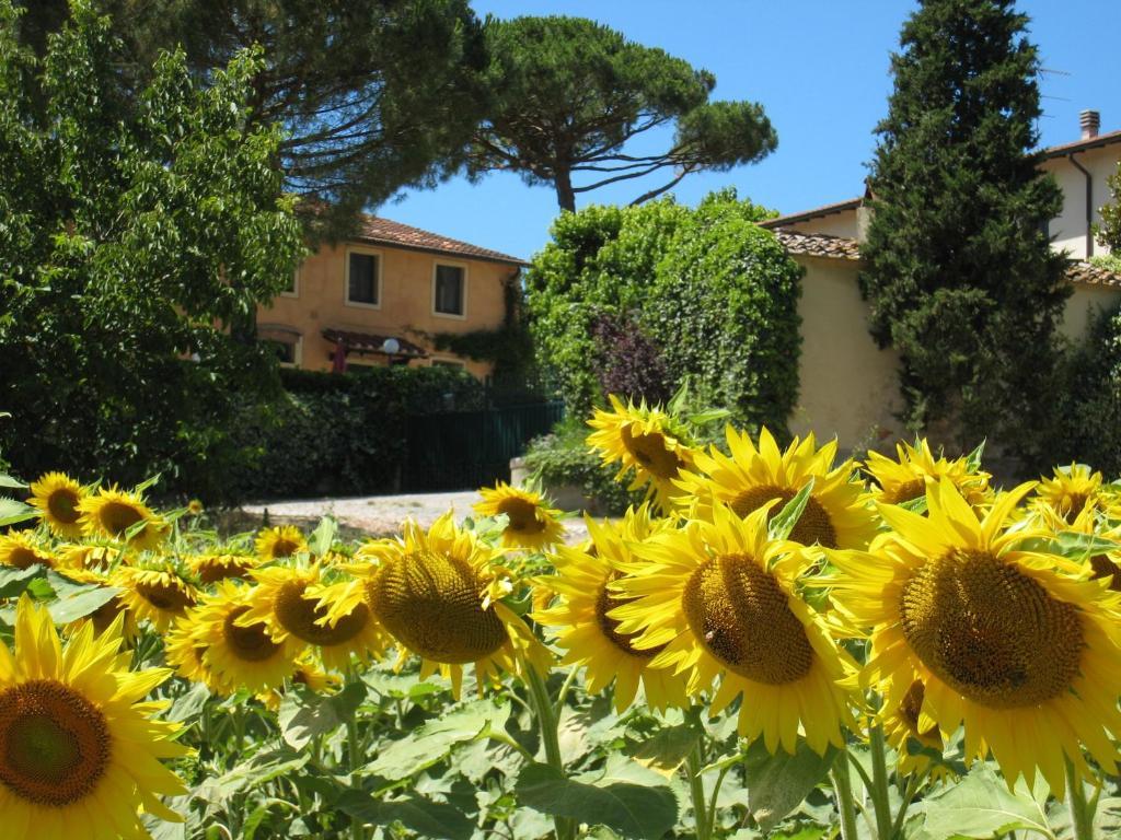 阿格里科拉公司好好休息乡村民宿 San Giovanni a Corazzano 外观 照片